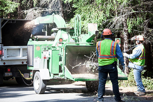 Grass Overseeding in Gates Mills, OH